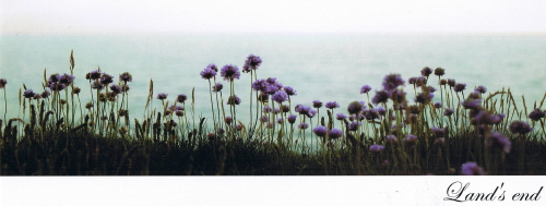 cdfgfmvcxｃｖｘｖｃｚ"野寺治孝写真展"