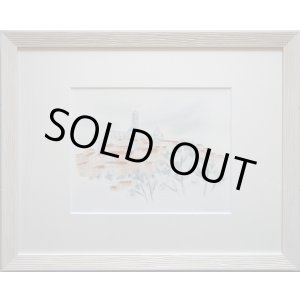 画像: 冬の大聖堂　シエナ