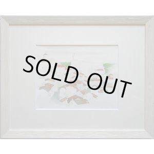 画像: ソラーノ